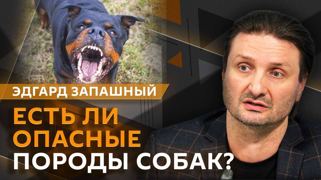 Эдгард Запашный и Нина Ватт. Опасные породы собак, пет-френдли отели, поиск "потеряшек"
