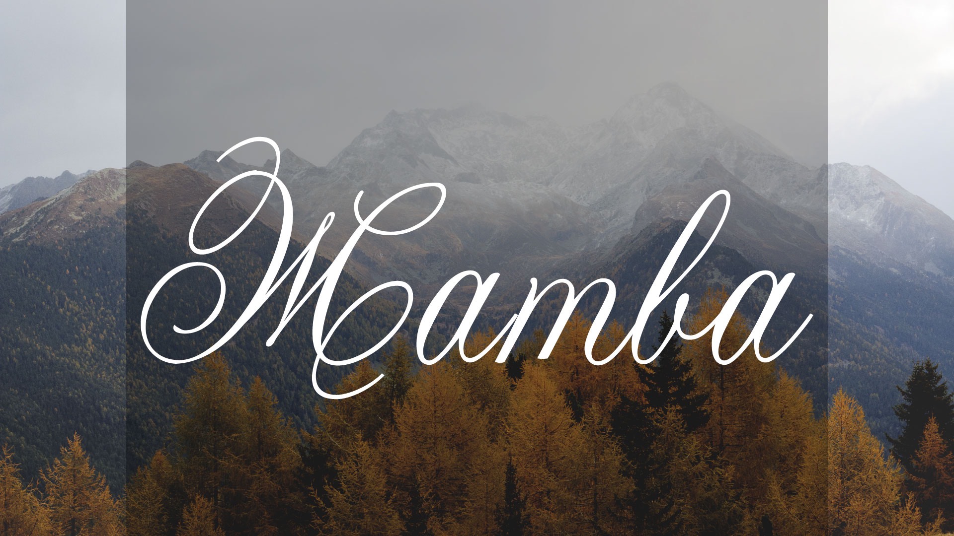 Жатва. Проповедь "Зачем Господь благословляет?", Марк Жук | 19.10.25 смотреть онлайн