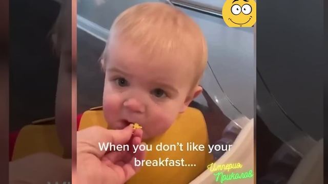 Сборник №66. Веселые и прикольные моменты из обычной жизни!