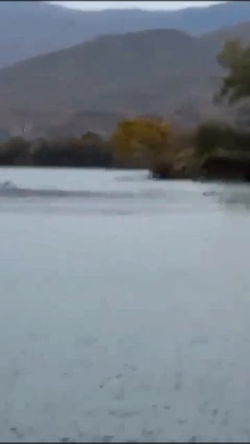 Тихое убийство реки. Что скрывается в водах Партизанской? смотреть онлайн