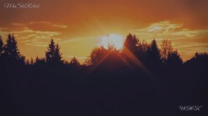 Imangadjiev - На склоне лет (In his declining years)