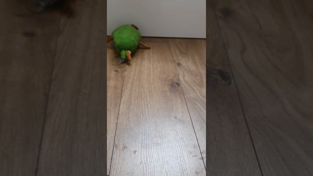 Игра в кальмара с моими игрушками 2 сезон 1 часть