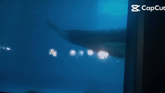 Постаь лайк и полпишись смотреть онлайн