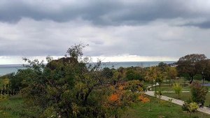 Запах лаванды и розы .