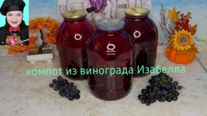 Самый ароматный напиток. Компот из винограда Изабелла