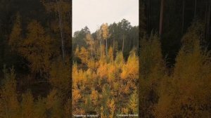 "Навеяно осенью"- Гармонизирующая, Целительная, Потоковая, авторская композиция.