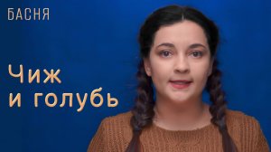 Чиж и голубь