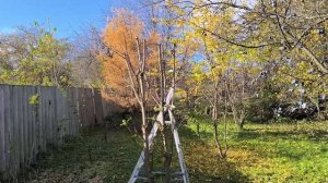Влог 19.10.2025