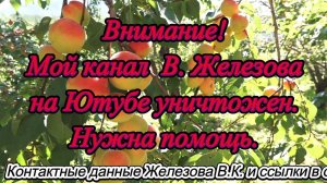 Внимание! Мой канал В. Железова на Ютубе уничтожен. Нужна помощь.