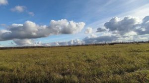 Поле. ч.2. Октябрь 2025