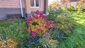 Все утро по магазинам/Мужу вернули больше