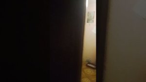 Видео 19.10.2025 - Ольга Фролова и её сын проверяют окно в подъезде