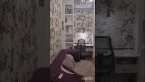 2ка, улица Новороссийская. Можно с ребёнком. Офиц договор. +79787003279