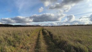 Поле. ч.12. Октябрь 2025