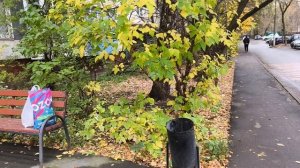 19 октября всё как всегда хорошо.