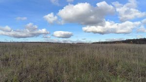 Поле. ч.7. Октябрь 2025