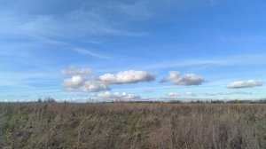 Поле. ч.8. Октябрь 2025