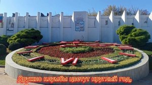 Кубанской столице