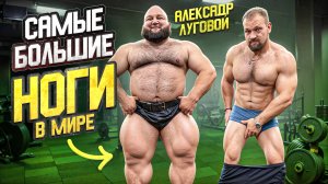 СИЛОВЫЕ АЛЕКСАНДРА ЛУГОВОГО