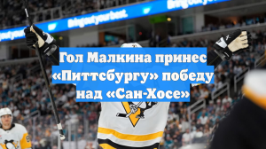 Гол Малкина принес «Питтсбургу» победу над «Сан-Хосе»