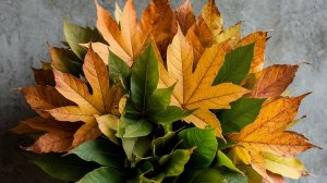 Легкий Букет из ЛИСТЬЕВ