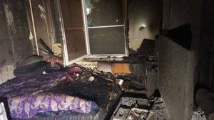 Огонь охватил квартиру под Петербургом из-за неисправного удлиннителя