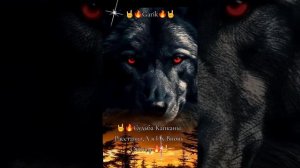 Судьба Капканы Расставит 💥🔊👍