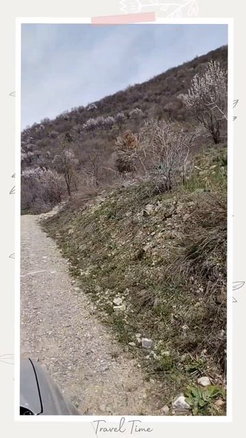 Весенний Чарвак   #Чарвак #Узбекистан #Весна #ПриродаУзбекистана #Горы #Путешествие #Красота #Цветы