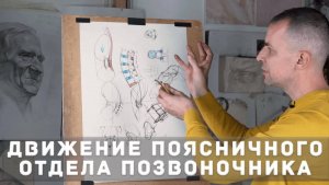 Поясничные позвонки - А. Рыжкин