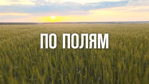 "ПО ПОЛЯМ" АГРОБЛОГ о жизни в сельском хозяйстве | От семечки до прилавка 🚜