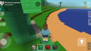 играю в блок крафт