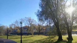 Мороз и солнце -день чудесный. Пушкин А. С.