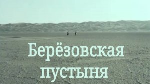Берёзовский. Золотая пустыня. Отвалы ЦОФ.