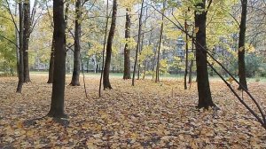 Делюсь хорошим настроением 🌞