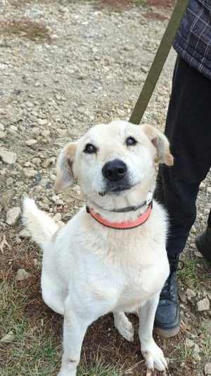 Ноузворк. Занятия продолжаются)