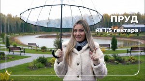 Живой пруд за 90 дней. Без плёнки, бетона и дорогих материалов.