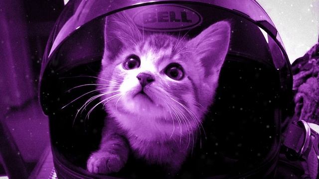 1 Hour Chill Phonk Mix – Relaxing Night Ride, Hardwave & Atmospheric Vibes смотреть онлайн