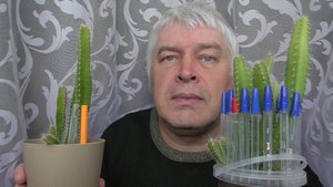 Геннадий Горин рассказывает про кактусы. Кактус питахайя