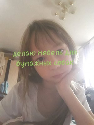 делаю мебель для бумажных собак