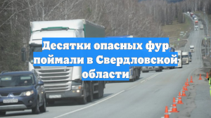 Десятки опасных фур поймали в Свердловской области