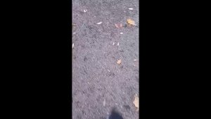 Влоговое: завтрак, гулянки, сладкое и Ленин)))