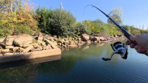 Нашёл логово окуней! Первая рыбалка на поплавок!