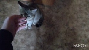 Мой выходной