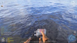 Russian Fishing 4 РР4 НОРВЕЖСКОЕ МОРЕ ФАРМ! КАМБАЛА, ПОЛЛАК, ГРЕБЕШОК!