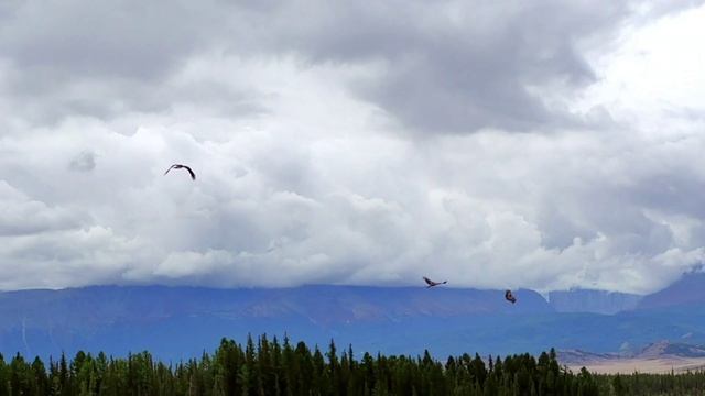 Алтай - Алтай