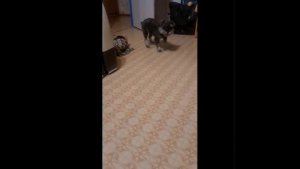 1000104498.mp4
