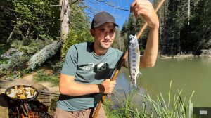 Выживания 24-Часа в горах, Сделал самодельную удочку, наловил форели. Насобирал белых грибов