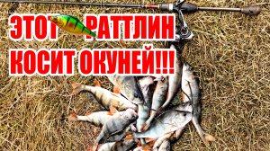ЭТОТ РАТТЛИН ТВОРИТ ЧУДЕСА! ЖОР ОКУНЯ В ОКТЯБРЕ!