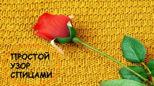 ОЧЕНЬ ПРОСТОЙ УЗОР СПИЦАМИ// ВЯЖЕМ ВМЕСТЕ// КРУГОВОЕ ВЯЗАНИЕ