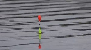 С поплавком В ОКТЯБРЕ!! Ловля КАРАСЯ ОСЕНЬЮ на ПОПЛАВОЧНУЮ УДОЧКУ!! Пришлось поискать..